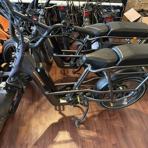 2023 Rad Power Bikes Runner3+