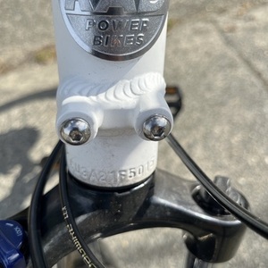 2021 Rad Power Bikes RadCity Step-Thru 3 White