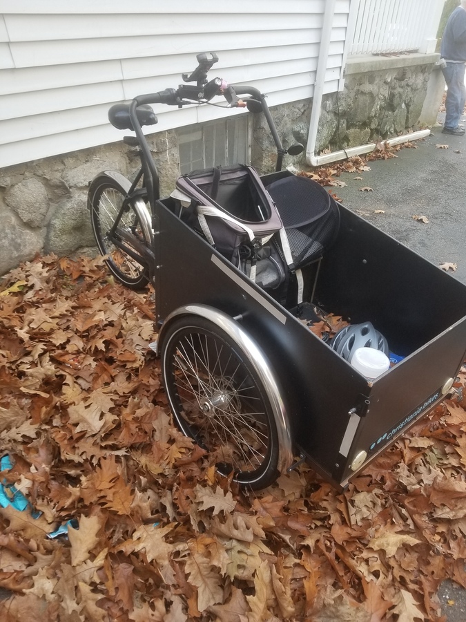 Cargo Tricycle photo