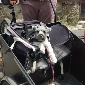 Christiania Bikes Classic cargo tricycle Black