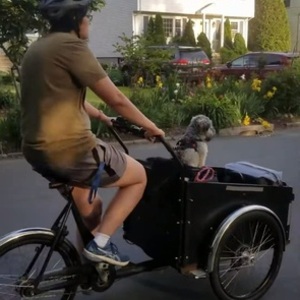 Christiania Bikes Classic cargo tricycle Black