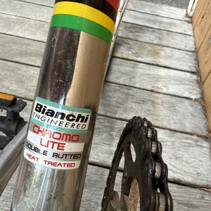 Bianchi Pista Silver, gray or bare metal