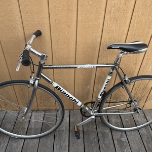 Bianchi Pista Silver, gray or bare metal