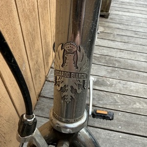 Bianchi Pista Silver, gray or bare metal