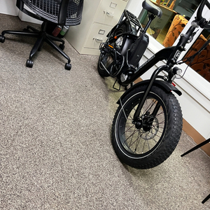 Rad Power Bikes rad expand5 Black