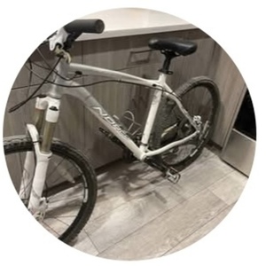 2025 Norco Bikes Fireball Silver, gray or bare metal