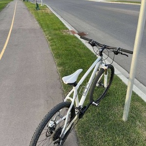 2025 Norco Bikes Fireball Silver, gray or bare metal