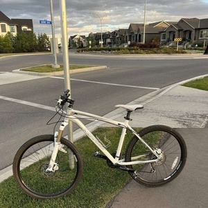 2025 Norco Bikes Fireball Silver, gray or bare metal