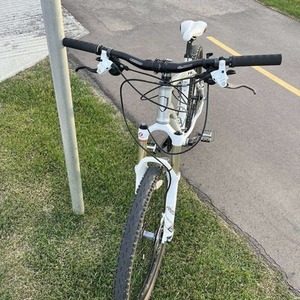 2025 Norco Bikes Fireball Silver, gray or bare metal