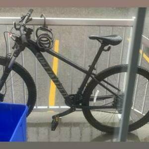 2025 Specialized ROCKHOPPER Silver, gray or bare metal