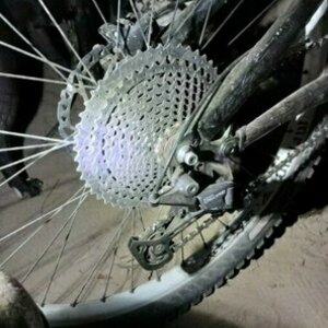 Specialized Enduro Elite Green