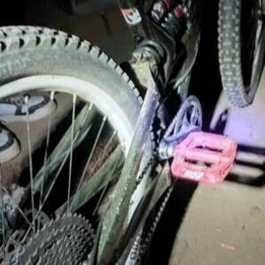 Specialized Enduro Elite Green