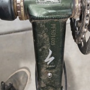 Specialized Enduro Elite Green