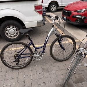 Trek Navigator 100 Blue and Green