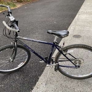 Trek Blue and Silver, gray or bare metal