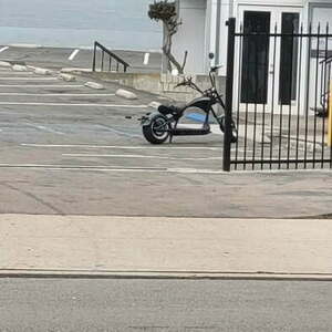 2025 Eastern M1 Green