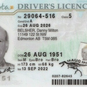 2024 DJ Bikes Step Thru White