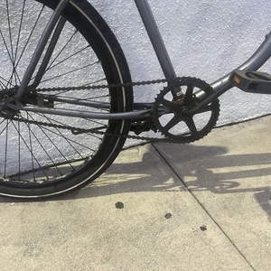 2020 Retrospec Men’s cruiser Silver, gray or bare metal