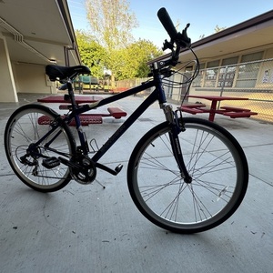 2008 Schwinn Trailway Blue