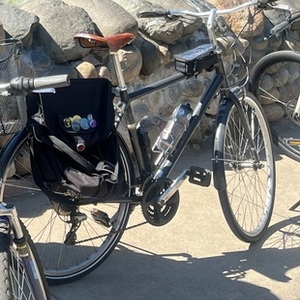 2012 Trek Allant Silver, gray or bare metal