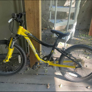 2016 Specialized Yellow or Gold and Black