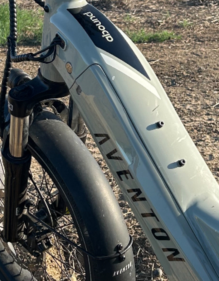 Cargo Bike Rear photo