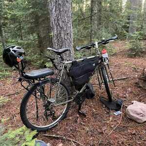 1985 Schwinn Woodlands Green