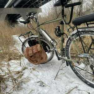 1985 Schwinn Woodlands Green