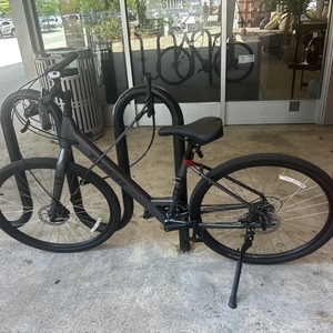 2025 Trek Verve 1 Silver, gray or bare metal