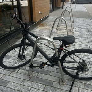 2025 Trek Verve 1 Silver, gray or bare metal