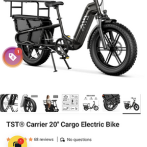 2025 TST GRP LLC TST® Carrier 20'' Cargo Electric Bike
