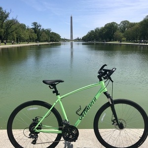 2020 Specialized CrossTrail Green