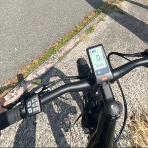 2024 Cannondale Adventure Neo Allroad S Low Step-Thro... Black and Silver, gray or bare metal