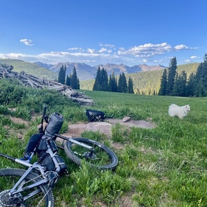 2021 Revel Rascal Silver, gray or bare metal