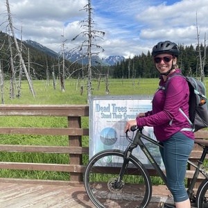 2017 Specialized Diamond Frame Green