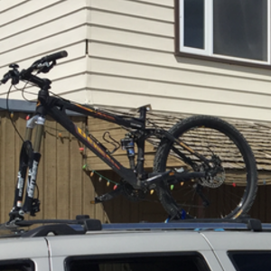 2006 Devinci Guzzler Black