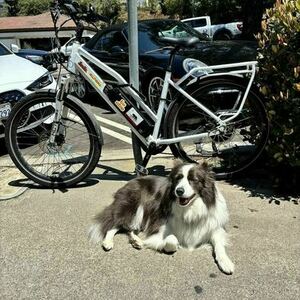 2022 Surface604 Rook M/L White