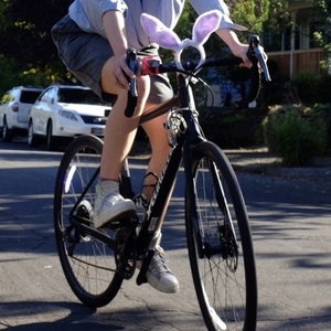 2019 Specialized Diverge Black