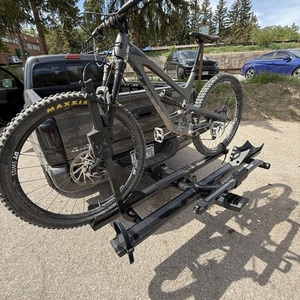 2019 YT Capra Silver, gray or bare metal