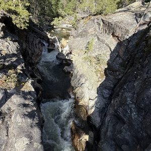 2019 YT Capra Silver, gray or bare metal