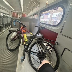 2023 All City Gorilla Monsoon Purple