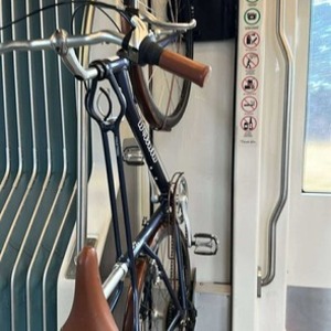 Momentum iNeed Street Blue and Brown