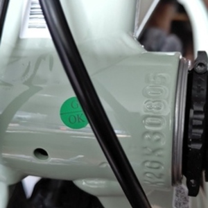 2021 Giant Fathom Green