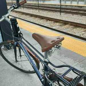 Momentum iNeed Street Blue and Brown