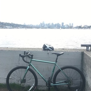 2016 Kona Rove ST Green