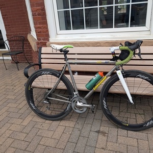 1997 Litespeed Natchez Silver, gray or bare metal