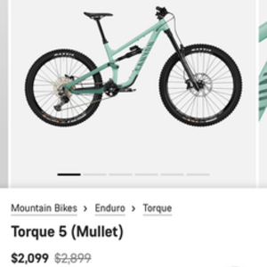 2025 Canyon bicycles Torque mullet Teal and Purple
