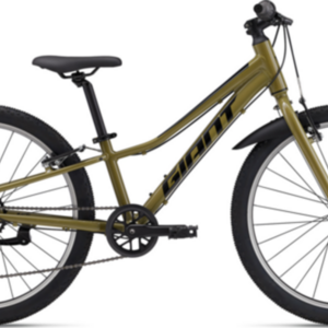 Giant Talon 24 Lite Green