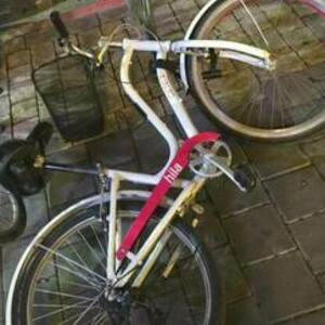 Carrera bicycles White