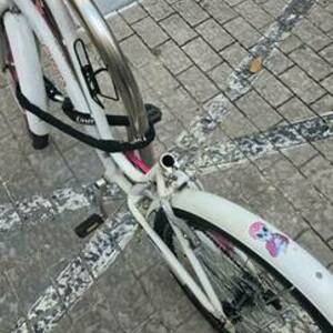 Carrera bicycles White